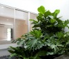 Home Interior Design